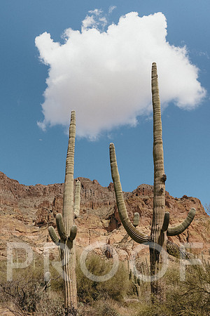 SA_AZ25-0301