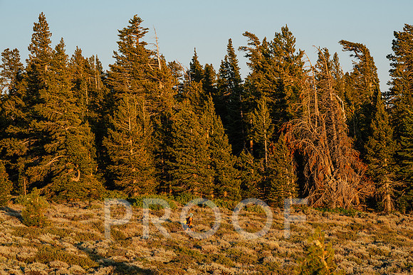 AW_T25-4848