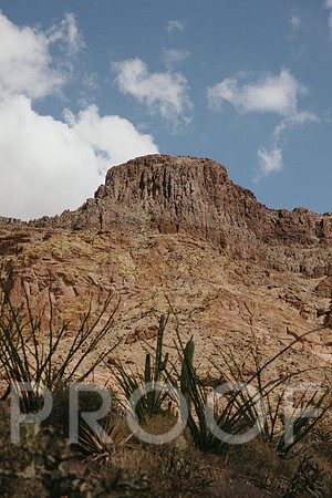 SA_AZ25-0141