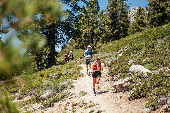 AW_T25-8967