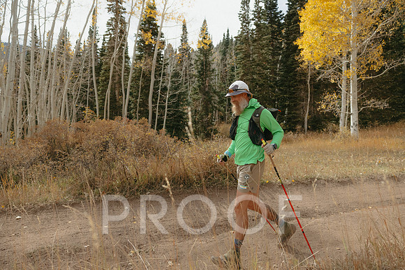 SA_M24-2334