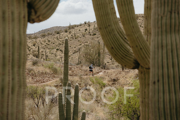 SA_AZ25-0041
