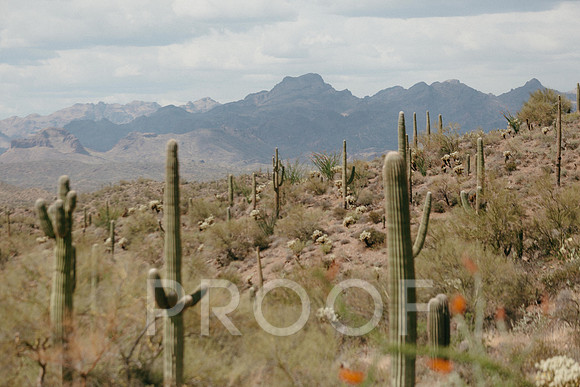 SA_AZ25-0450