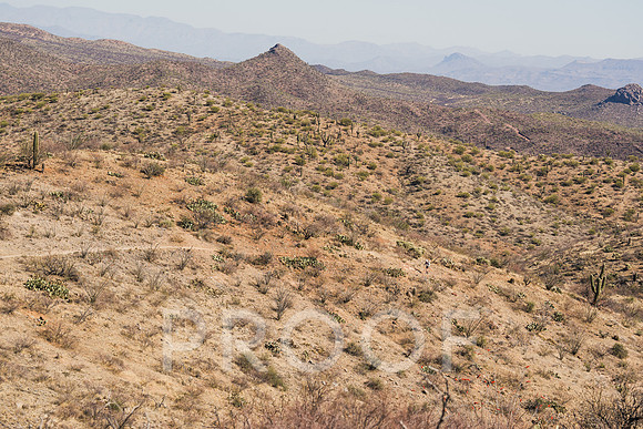 JP_AZ25-0956