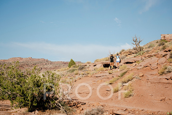 AW_M24-9188