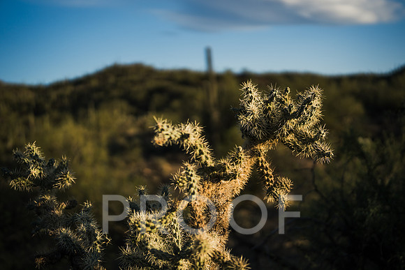 JP_AZ25-26