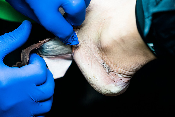 JDP_BF21-0694