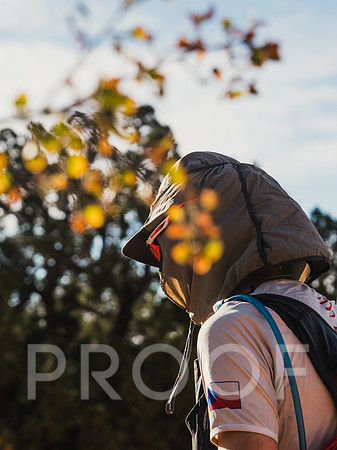 JP_M24-0586