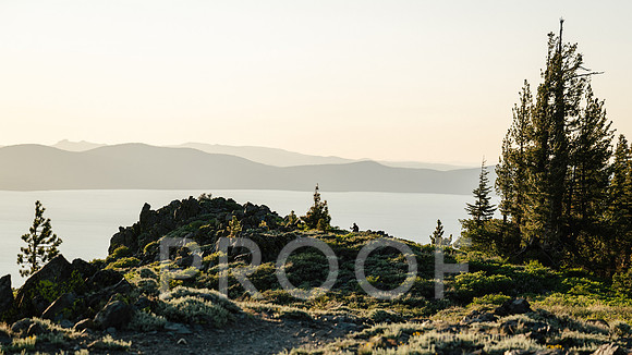 AW_T25-3479