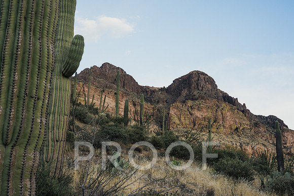 JP_AZ25-14