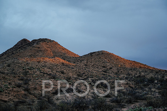 AW_AZ25-8153