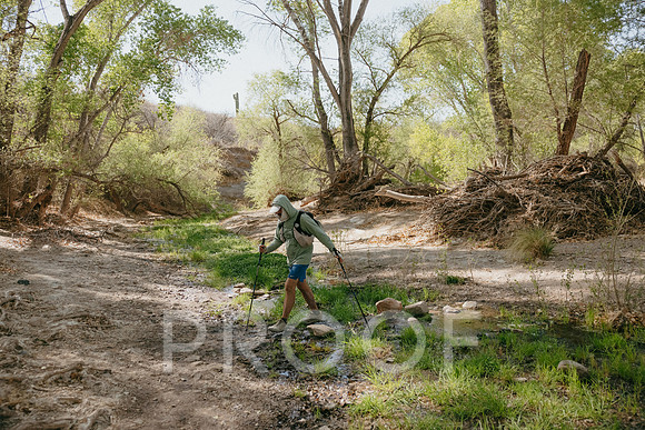 SA_AZ25-2196