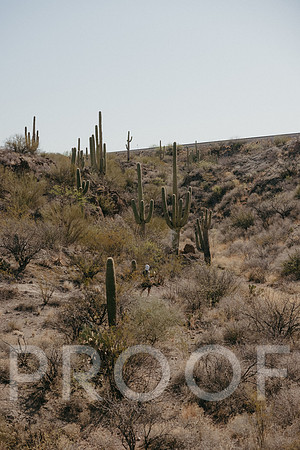 SA_AZ25-2113