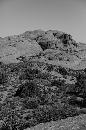 SA_M22-3258