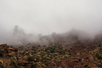 JDP_M25-1084