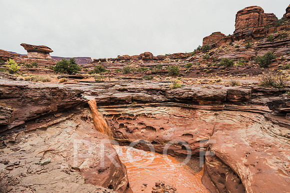 JDP_M25-2092