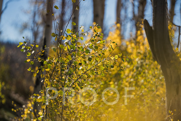 JDP_M25-3896