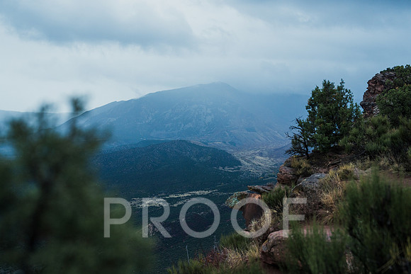 JDP_M25-5956