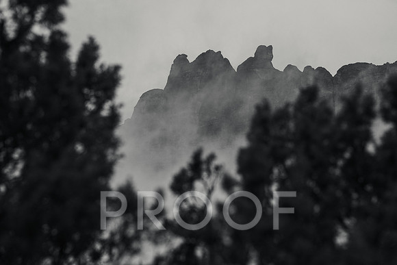 JDP_M25-8281
