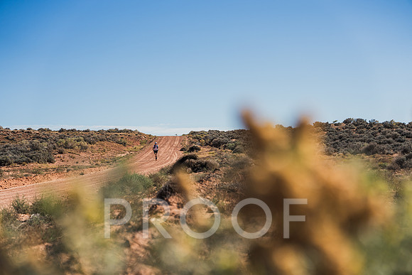 JDP_M25-4133