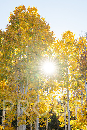 AW_M25-6108