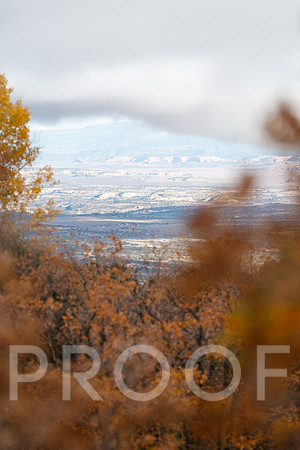 AW_M25-0891