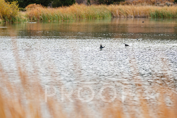 AW_M25-0857