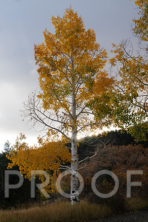 AW_M25-5803