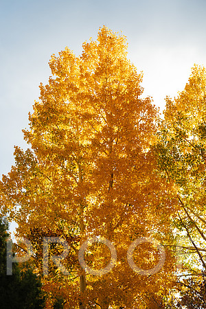AW_M25-0689