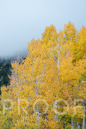 AW_M25-0660