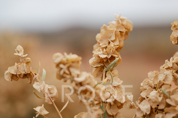 AW_M25-6676