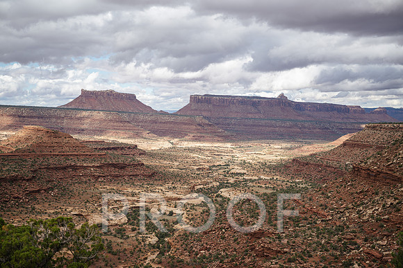 AW_M25-5006