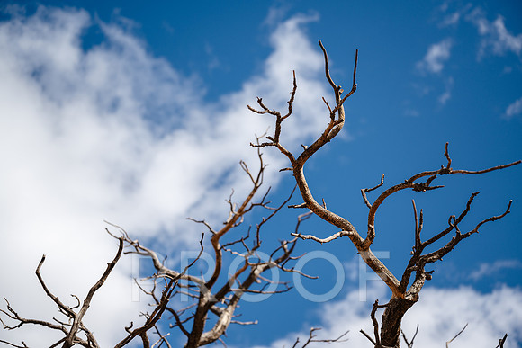AW_M25-4981