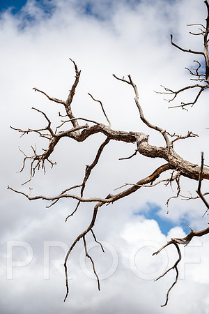 AW_M25-4980