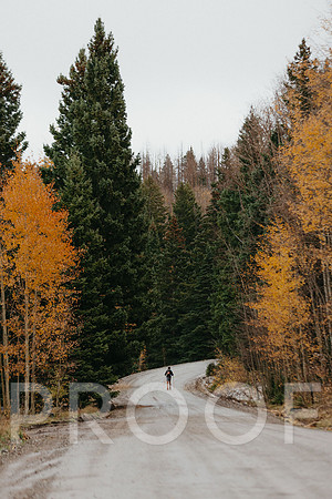 SA_M25-2354