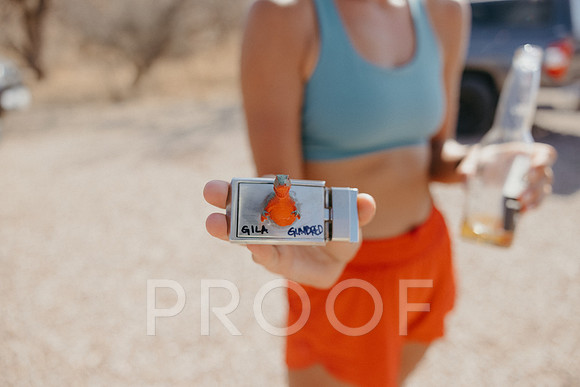 SA_AZ25-2321