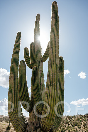 AW_AZ25-5834