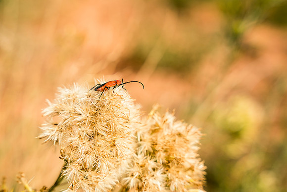 JDP_M21_Landscape-8256