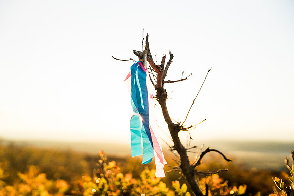 JDP_M21_Landscape-10250
