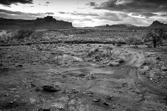 JDP_M21_Landscape-7881