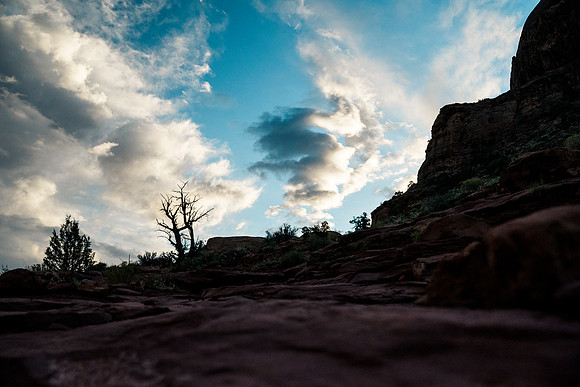JDP_M21_Landscape-15825