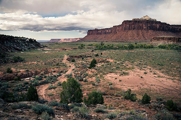 JDP_M21_Landscape-