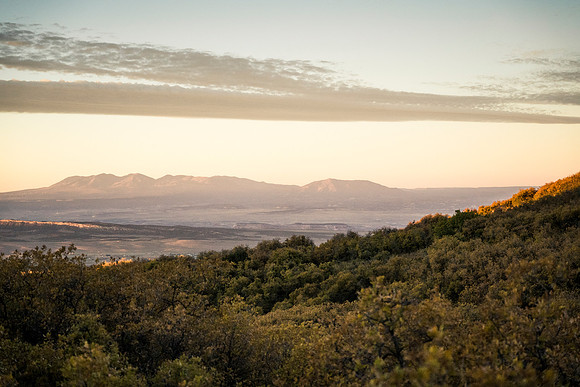 JDP_M21_Landscape-10171