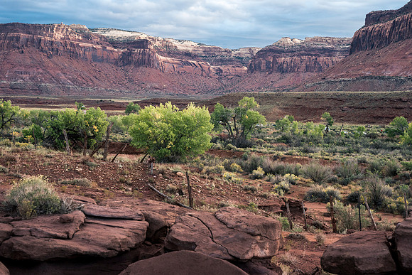 JDP_M21_Landscape-8040