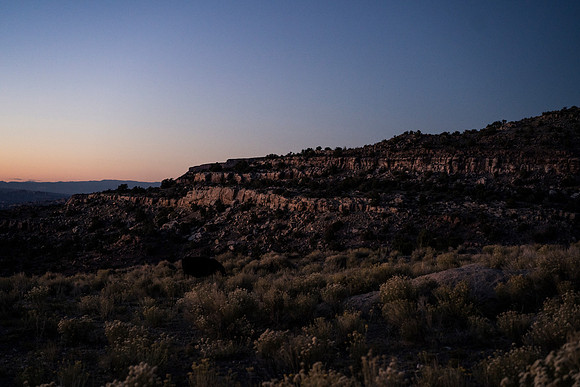 JDP_M21_Landscape-13043
