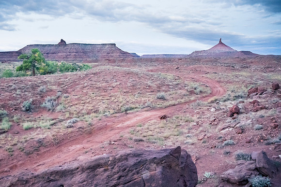 JDP_M21_Landscape-7889