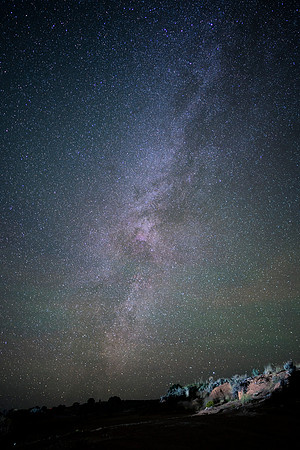 JDP_M21_Landscape-9642