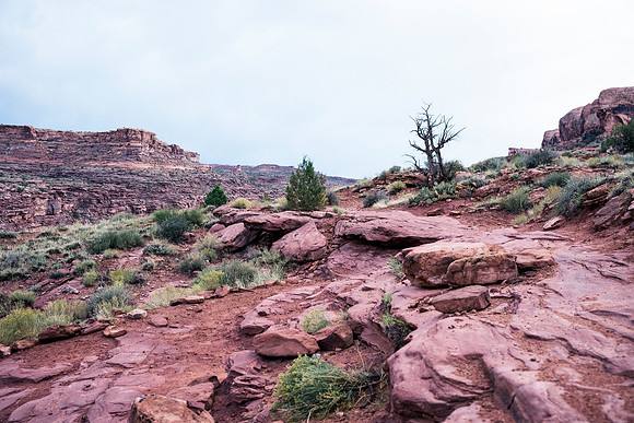 JDP_M21_Landscape-15765