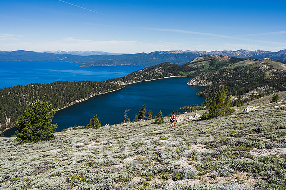 JP_T24-0302
