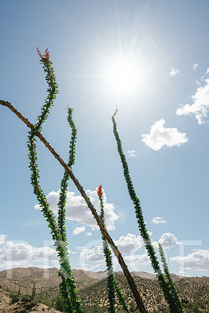AW_AZ25-5768